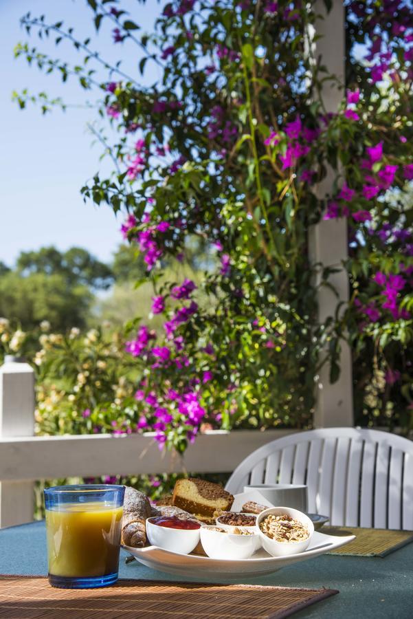 Hotel Etrusco Rio Marina Εξωτερικό φωτογραφία